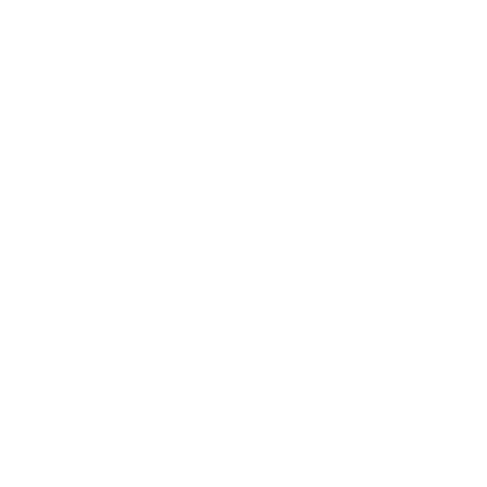 Venezia